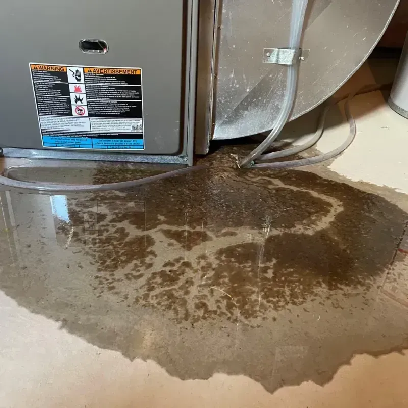 Appliance Leak Cleanup in Marysville, OH